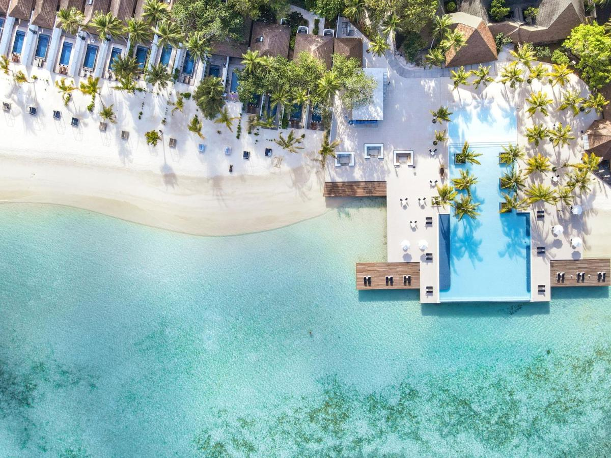 swim up bar