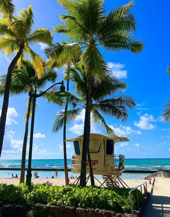 discount hawaii car rental 