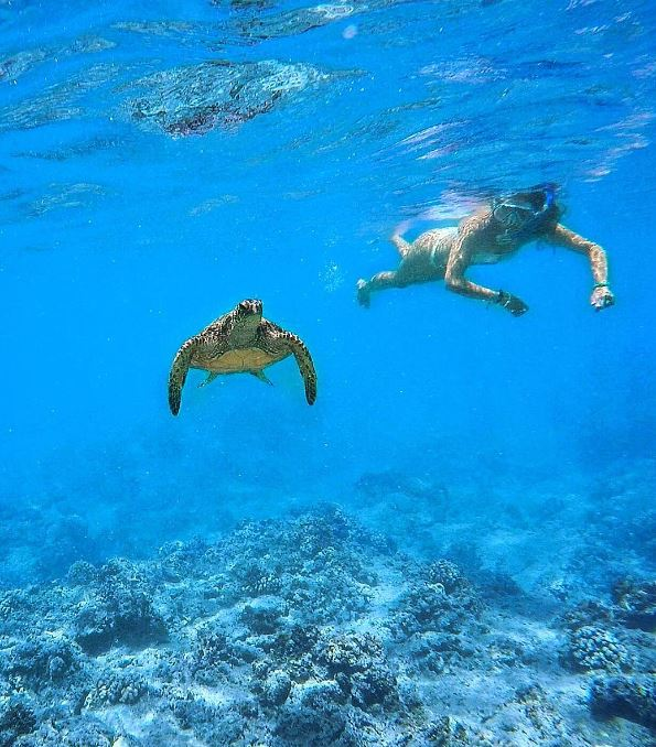 shipwreck beach 
