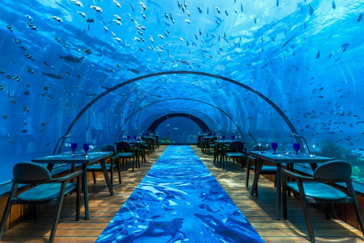 beach villas in the maldives resorts