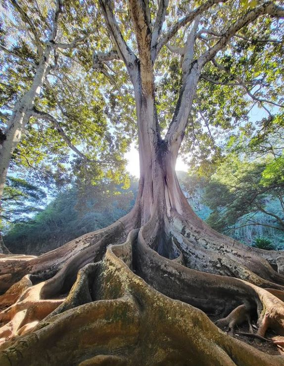 kauai's south shore 