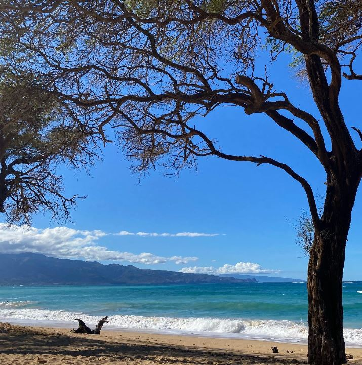 hulopoe beach