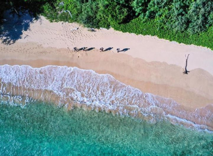 hawaii beaches