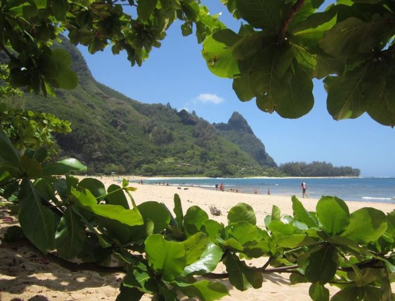 punaluu beach