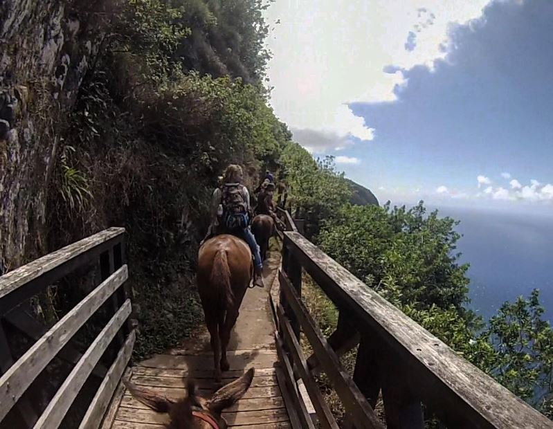 hawaii tourism authority 