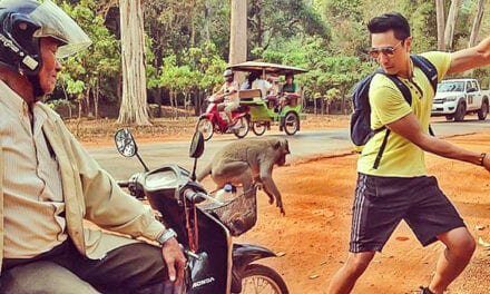 The Siem Reap Travel Experience