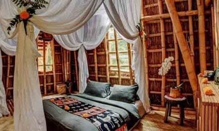25 Stunning Bali Resorts | Ubud