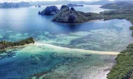 Snake Island in El Nido – PALAWAN GUIDE