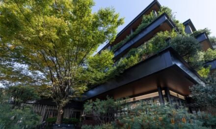 [2023 PICKS] The 15 Best Hotels in Harajuku, Tokyo | TrotterHop