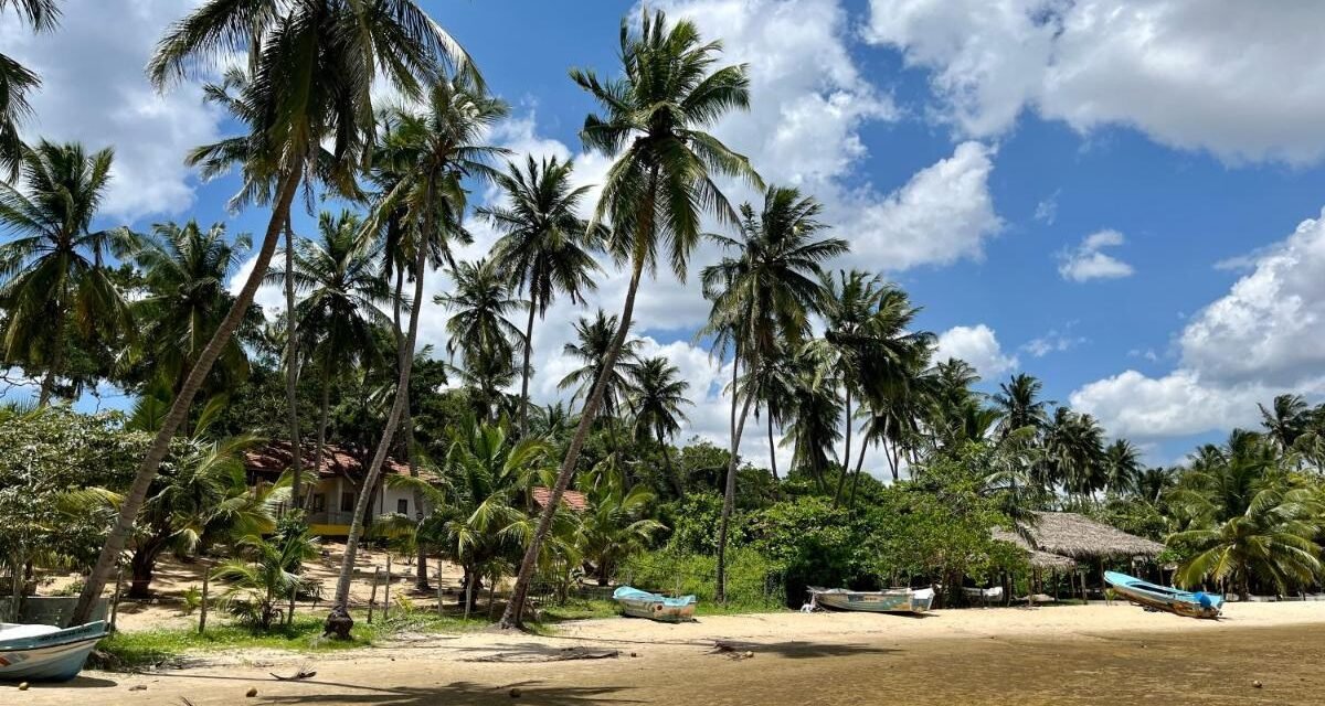 [2023 PICKS] The Best Boutique Hotels in Arugam Bay
