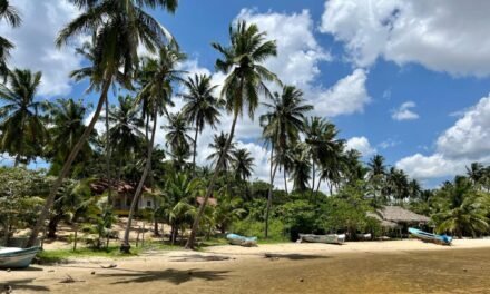 [2023 PICKS] The Best Boutique Hotels in Arugam Bay