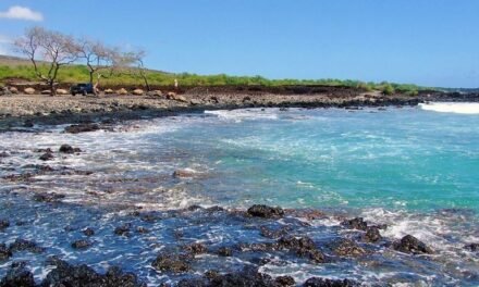 [2023 GUIDE] The Best Places to Stay in Hawaii | The Best Areas