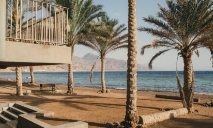 [2023 PICKS] The Best Boutique Hotels in Dahab, Egypt | TrotterHop