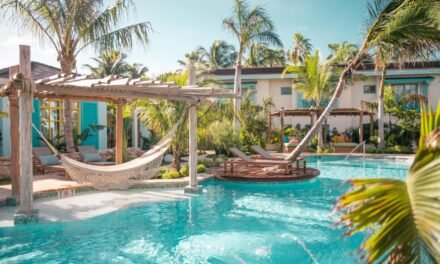 [2023 PICKS] The Best Boutique Hotels in Palm Beach, Aruba
