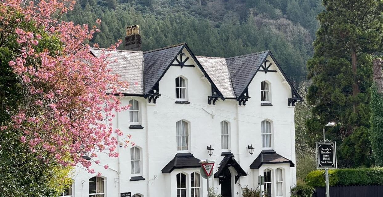 [2023 PICKS] The Best Boutique Hotels in Snowdonia, UK | TrotterHop