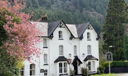 [2023 PICKS] The Best Boutique Hotels in Snowdonia, UK | TrotterHop