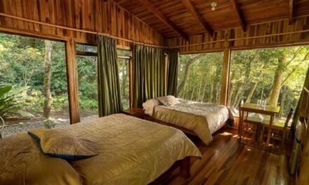 [2023 PICKS] The Best Boutique Hotels in Monteverde, Costa Rica
