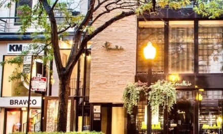 [2023 GUIDE] The Best 16 Places for Shopping in Chicago | TrotterHop