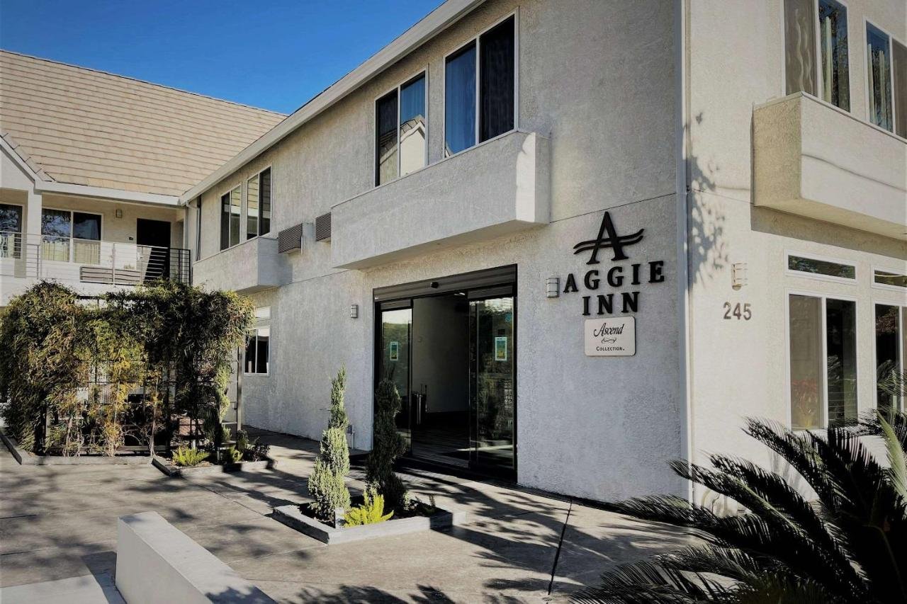 popular boutique hotels