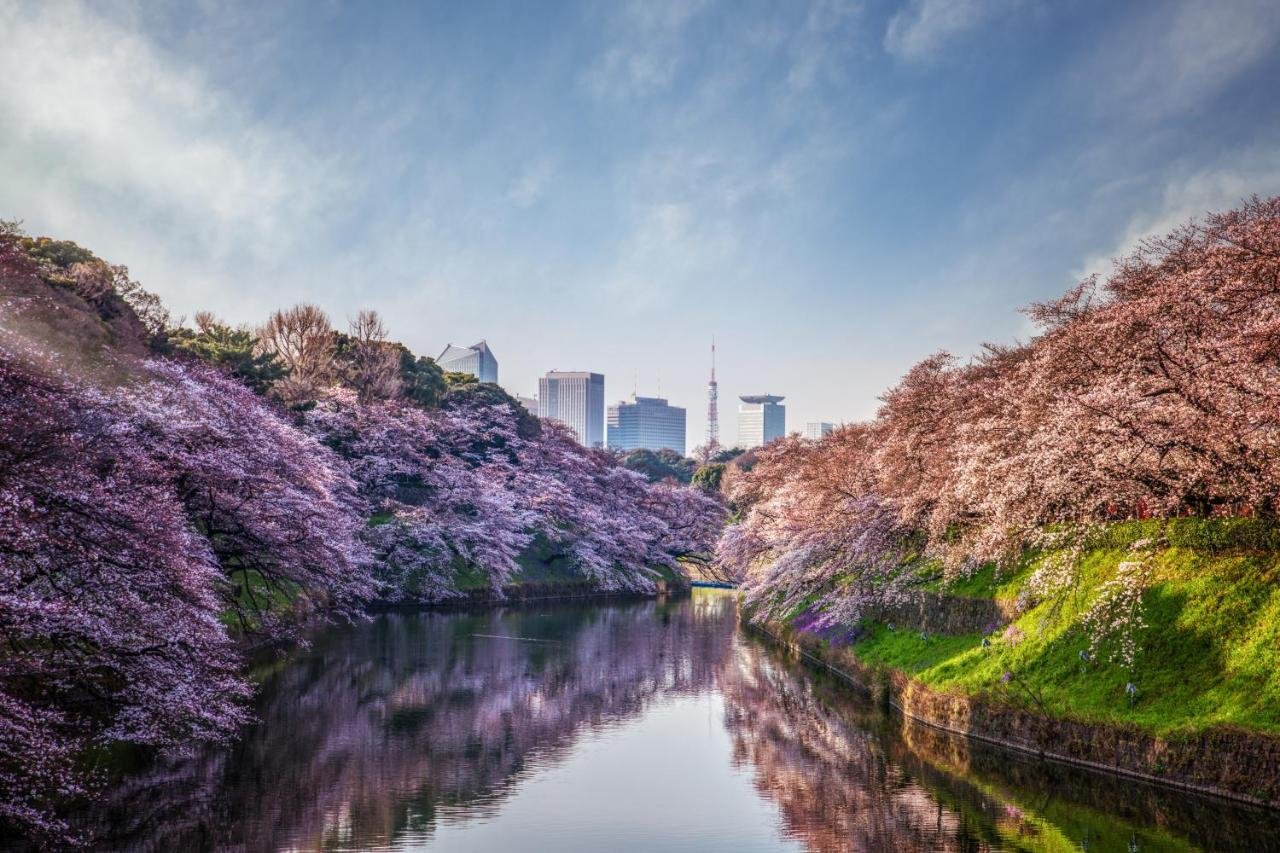 tokyo bay 